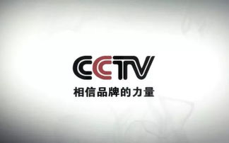 雷軍 努力工作，克制貪婪——數字廣告時代的智慧箴言